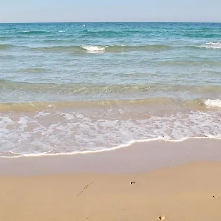 Casa Olivia With Pool Heating Fee Vakantiehuis Torrevieja